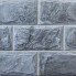 SilverFox Anes 413 gris