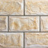 SilverFox Anes 414 beige