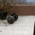  Stroeher ступень простая "Loft" EURAMIC Cavar  544 chiaro (4832)